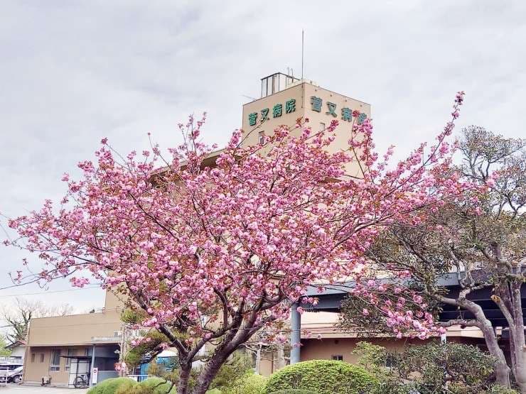 菅又病院