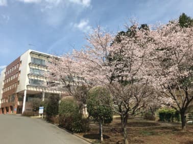 さんあい介護医療院