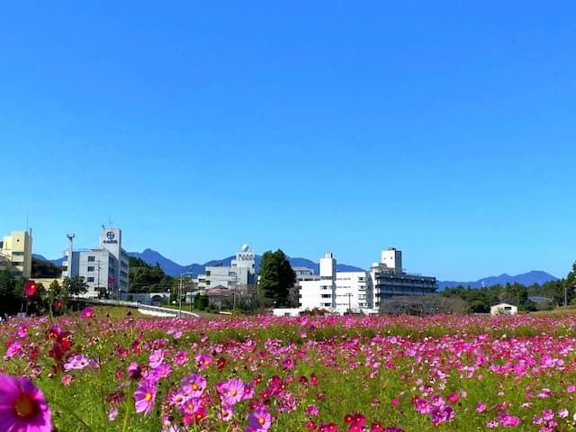 障害者支援施設 小山田苑