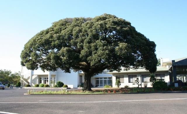 九十九里ホーム山田特別養護老人ホーム