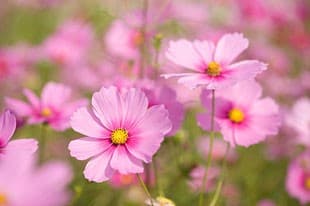 officeMainImageBlurLeft